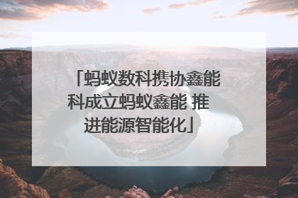 蚂蚁数科携协鑫能科成立蚂蚁鑫能 推进能源智能化