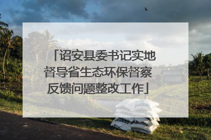诏安县委书记实地督导省生态环保督察反馈问题整改工作