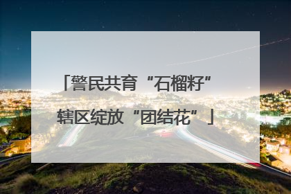 警民共育“石榴籽” 辖区绽放“团结花”