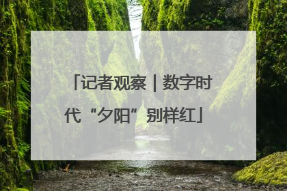 记者观察｜数字时代“夕阳”别样红