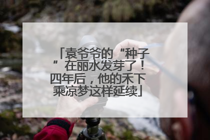 袁爷爷的“种子”在丽水发芽了！四年后，他的禾下乘凉梦这样延续
