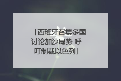 西班牙召集多国讨论加沙局势 呼吁制裁以色列