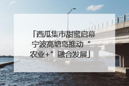西瓜集市甜蜜启幕 宁波高塘岛推动“农业+”融合发展
