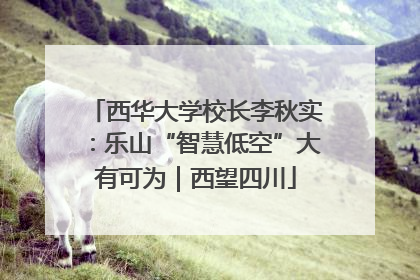 西华大学校长李秋实：乐山“智慧低空”大有可为｜西望四川