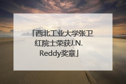 西北工业大学张卫红院士荣获J.N.Reddy奖章