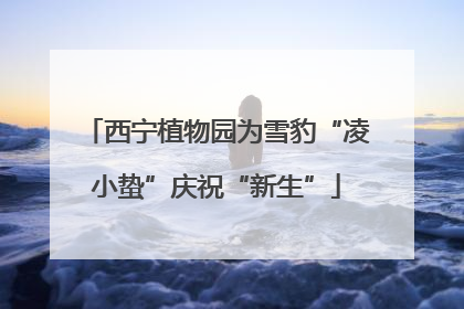 西宁植物园为雪豹“凌小蛰”庆祝“新生”