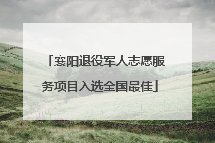 襄阳退役军人志愿服务项目入选全国最佳