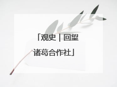 观史｜回望诸葛合作社