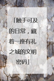 触手可及的日常，藏着一座有礼之城的文明密码