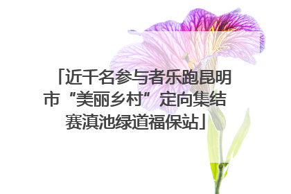 近千名参与者乐跑昆明市“美丽乡村”定向集结赛滇池绿道福保站