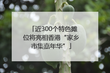 近300个特色摊位将亮相香港“家乡市集嘉年华”