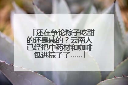 还在争论粽子吃甜的还是咸的？云南人已经把中药材和咖啡包进粽子了……