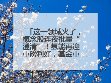 这一领域火了，概念股连夜批量“澄清”！氢能再迎重磅利好，基金重仓股出炉