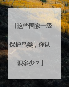 这些国家一级保护鸟类，你认识多少？