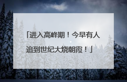 进入高峰期！今早有人追到世纪大烧朝霞！