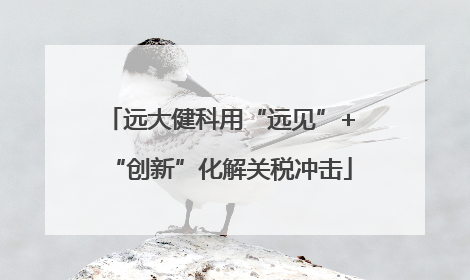 远大健科用“远见”+“创新”化解关税冲击