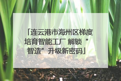 连云港市海州区梯度培育智能工厂 解锁“智造”升级新密码