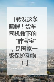 转发这条鲮鲤！货车司机救下的“胖宝宝”，是国家一级保护动物！