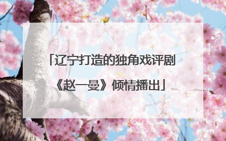 辽宁打造的独角戏评剧《赵一曼》倾情播出