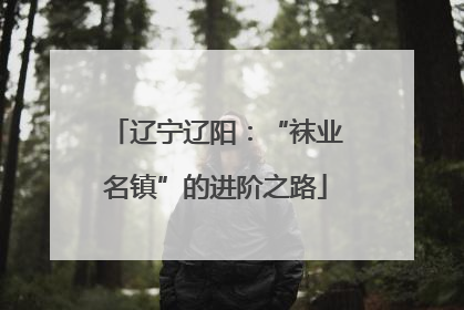 辽宁辽阳：“袜业名镇”的进阶之路