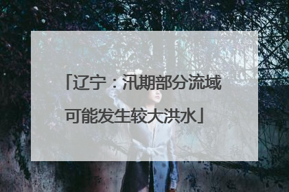 辽宁：汛期部分流域可能发生较大洪水