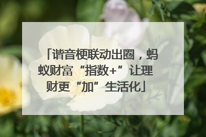 谐音梗联动出圈，蚂蚁财富“指数+”让理财更“加”生活化