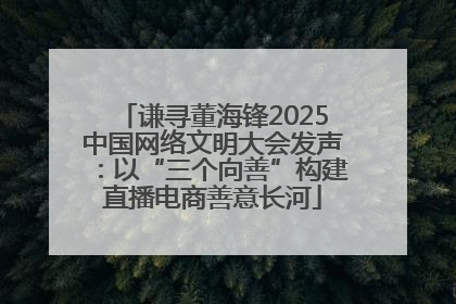 谦寻董海锋2025中国网络文明大会发声：以“三个向善”构建直播电商善意长河