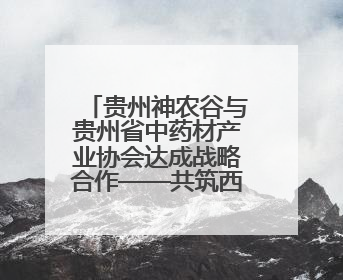 贵州神农谷与贵州省中药材产业协会达成战略合作——共筑西南地区中医药产业新生态