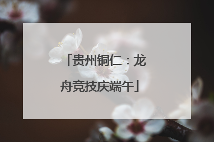 贵州铜仁：龙舟竞技庆端午
