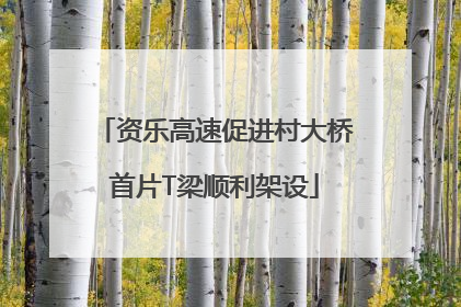 资乐高速促进村大桥首片T梁顺利架设