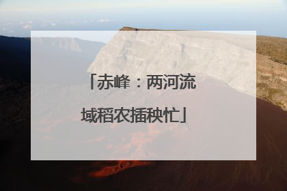 赤峰：两河流域稻农插秧忙
