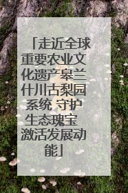 走近全球重要农业文化遗产皋兰什川古梨园系统 守护生态瑰宝 激活发展动能