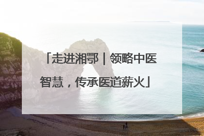 走进湘鄂｜领略中医智慧，传承医道薪火