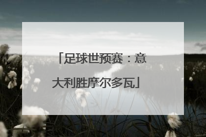 足球世预赛：意大利胜摩尔多瓦