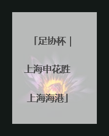 足协杯｜上海申花胜上海海港