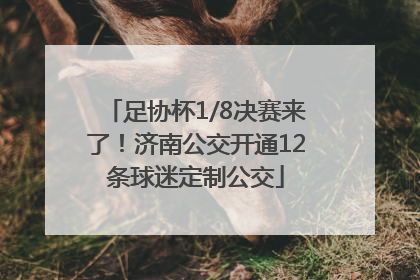 足协杯1/8决赛来了！济南公交开通12条球迷定制公交