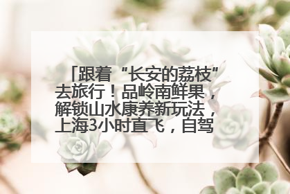 跟着“长安的荔枝”去旅行！品岭南鲜果，解锁山水康养新玩法，上海3小时直飞，自驾高速费优惠
