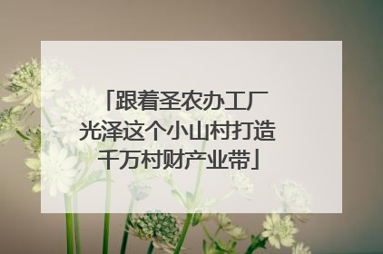 跟着圣农办工厂 光泽这个小山村打造千万村财产业带