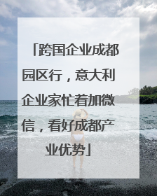 跨国企业成都园区行，意大利企业家忙着加微信，看好成都产业优势
