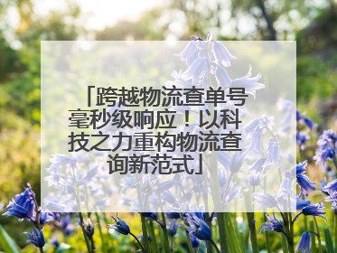 跨越物流查单号毫秒级响应！以科技之力重构物流查询新范式
