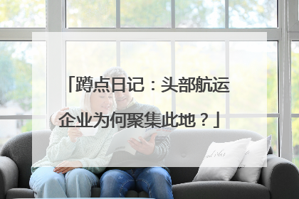 蹲点日记：头部航运企业为何聚集此地？