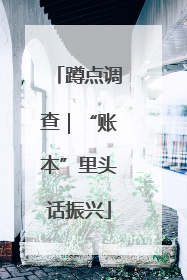 蹲点调查｜“账本”里头话振兴