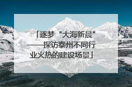 逐梦“大海新晨”——探访泰州不同行业火热的建设场景