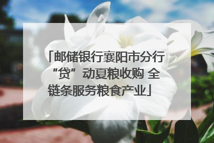 邮储银行襄阳市分行“贷”动夏粮收购 全链条服务粮食产业