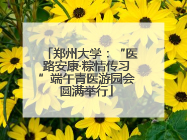郑州大学：“医路安康·粽情传习”端午青医游园会圆满举行