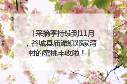 采摘季持续到11月，谷城县庙滩镇邓家湾村的蜜桃丰收啦！