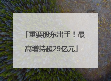 重要股东出手！最高增持超29亿元
