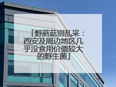 野蘑菇别乱采：西安及周边地区几乎没食用价值较大的野生菌