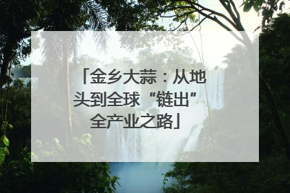 金乡大蒜：从地头到全球“链出”全产业之路