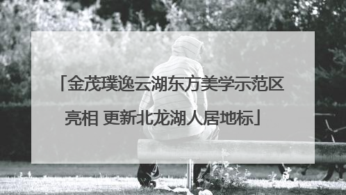 金茂璞逸云湖东方美学示范区亮相 更新北龙湖人居地标